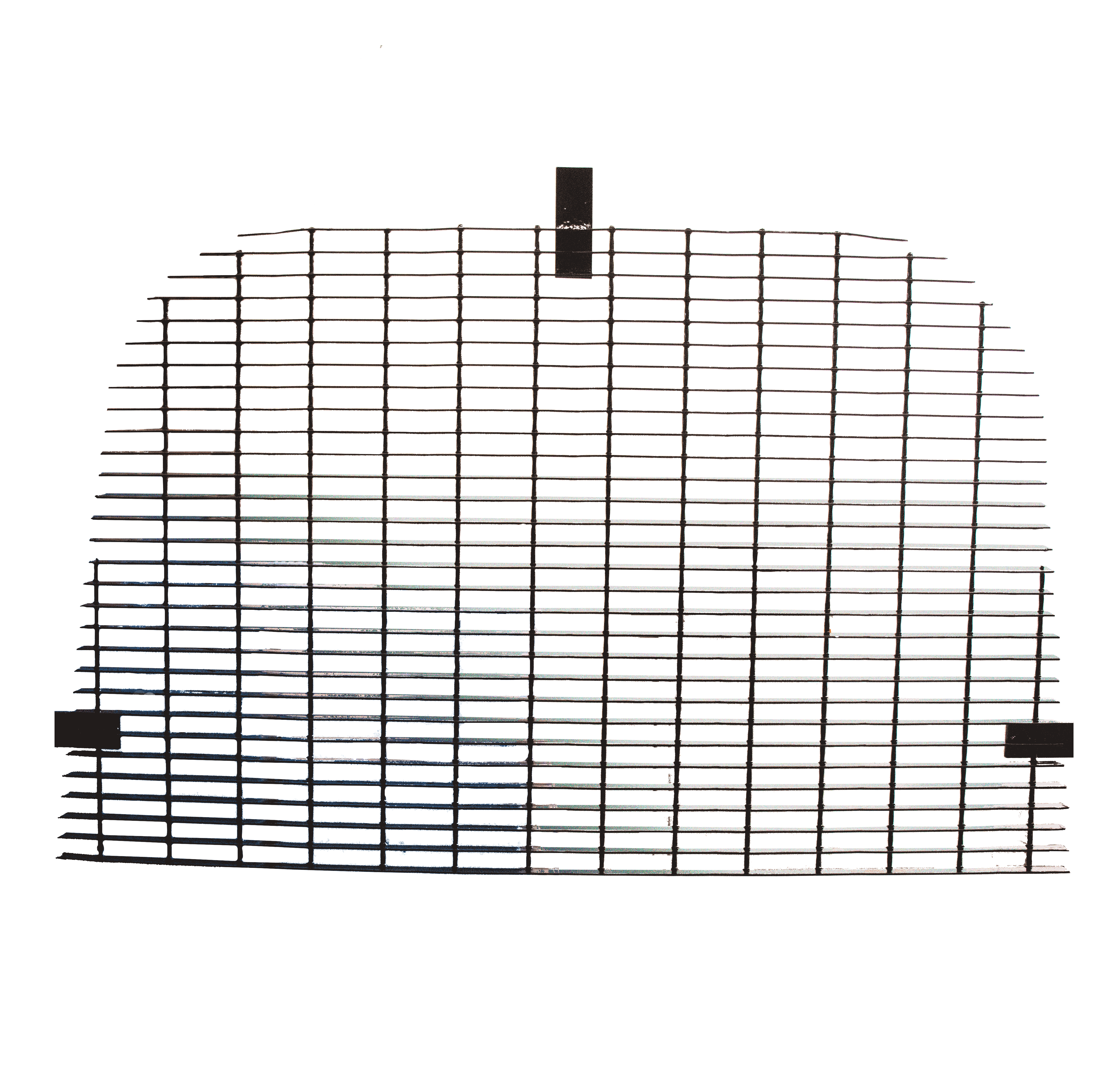 Odoo • Text and Image